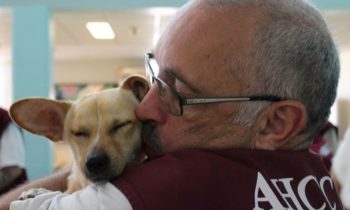 PAWSITIVE DOG PRISON TRAINING PROGRAM—HOW IT HELPS INMATES