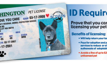 dog license spokane