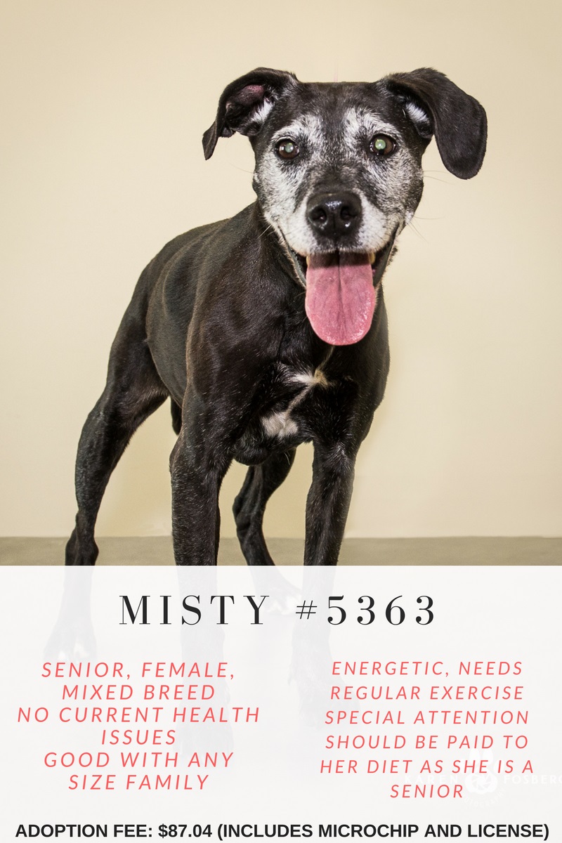 misty5363