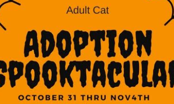 SCRAPS Spooktacular Adoption Event