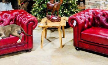 Consign Furniture Liberty Lake to Award a $3000 Holiday Giveaway to a Local Family