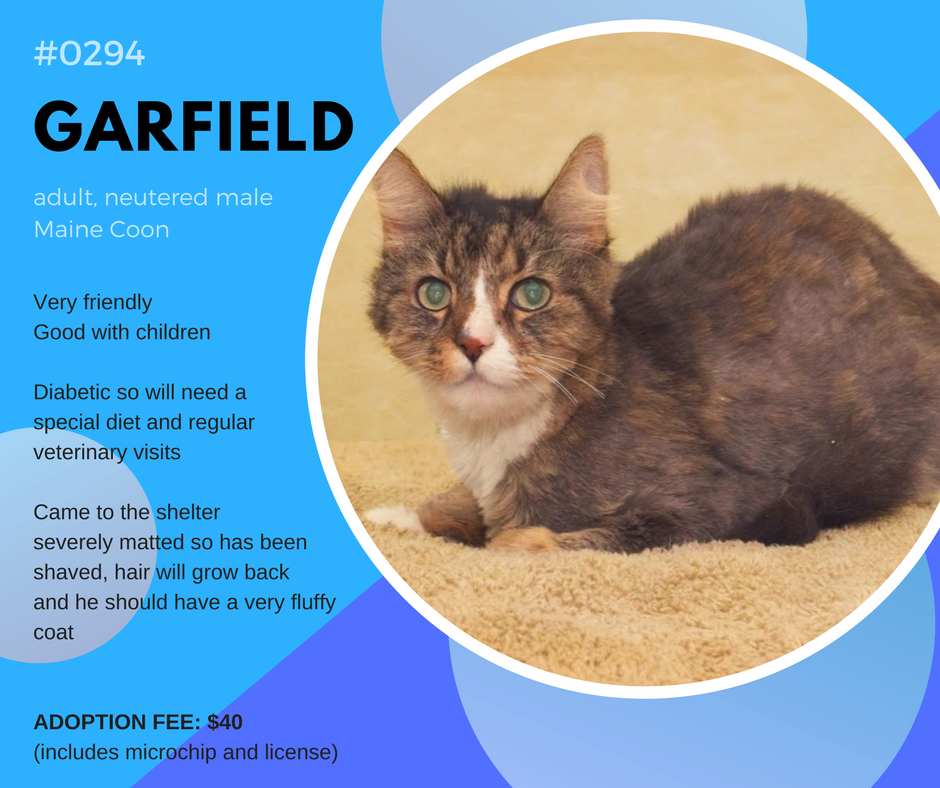 garfield0294 (1)