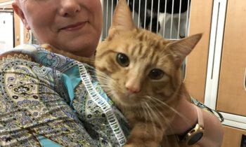 Happy Tales Pet of the Week – Aziraphale #10708