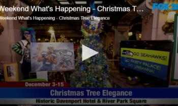 Weekend What’s Happening – Christmas Tree Elegance