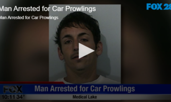 Man Arrested for Car Prowlings