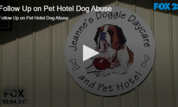 Follow Up on Pet Hotel Dog Abuse