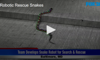 Robotic Rescue Snake