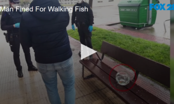 Man Fined for Walking Fish