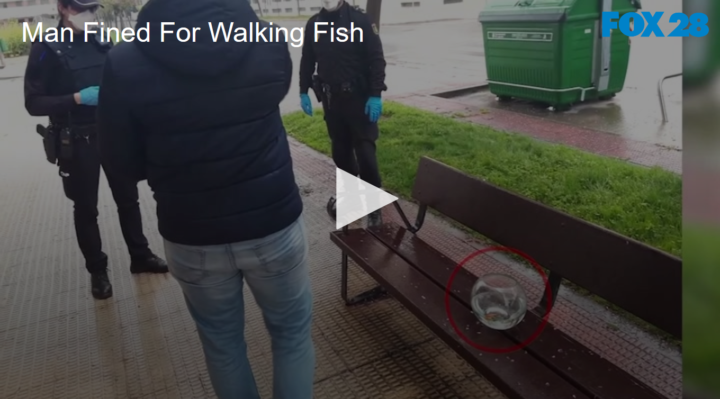 2020-04-27 Man Fined for Walking Fish FOX 28 Spokane