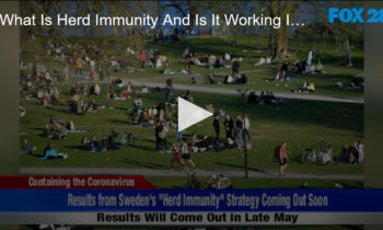 What Is Herd Immunity and Is It Working In Sweden