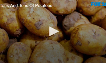 Tons And Tons Of Potatoes