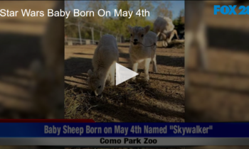 Star Wars Baby Born On May 4th