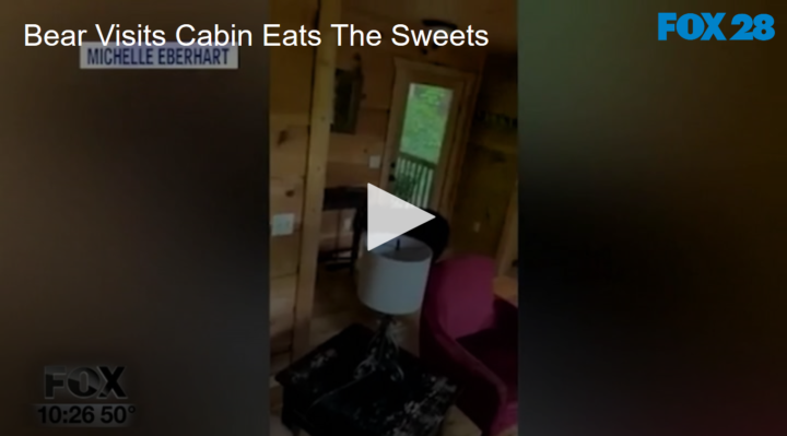 2020-05-13 Bear Visits Cabin Eats The Sweets FOX 28 Spokane