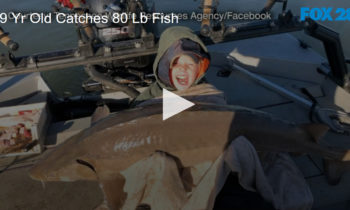 9 Yr Old Catches 80 Lb Fish