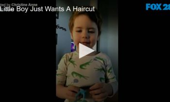 Little Boy Just Wants A Haircut