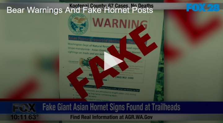 2020-05-27 Bear Warnings And Fake Hornet Posts FOX 28 Spokane