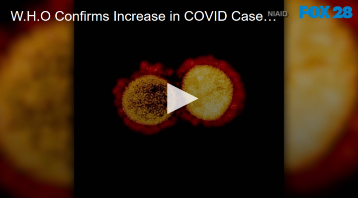 2020-06-23 W H O Confirms Increase in COVID Cases Not Due to Increase in Testing FOX 28 Spokane