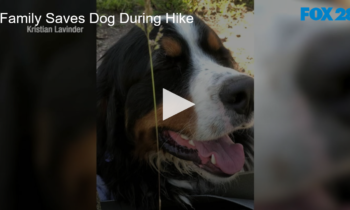 Family Saves Dog During Hike