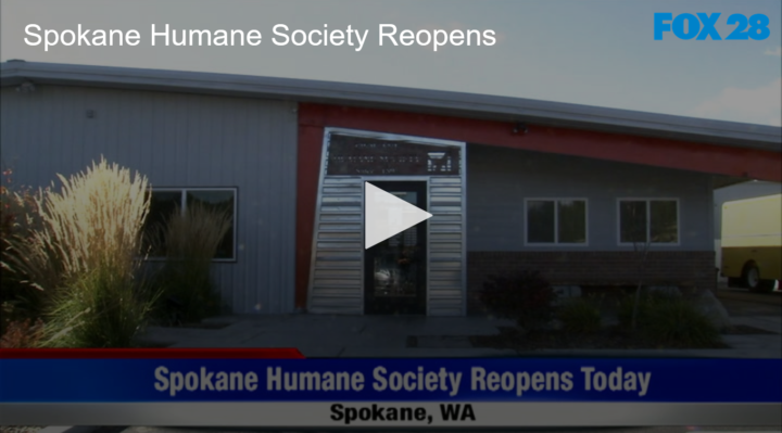 2020-07-15 Spokane Humane Society Reopens, with Restrictions FOX 28 Spokane