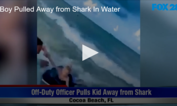 Boy Pulled Away from Shark In Water