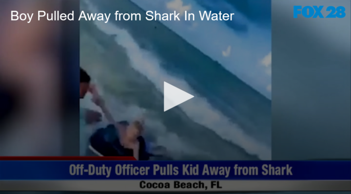 2020-07-21 Boy Pulled Away from Shark In Water FOX 28 Spokane