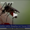 Mosquitoes And Covid-19
