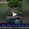 2020-08-03 Bear Visits Hot Tub FOX 28 Spokane