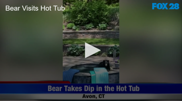 2020-08-03 Bear Visits Hot Tub FOX 28 Spokane