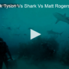 2020-08-10 Shark Week Tyson vs Shark vs Matt Rogers FOX 28 Spokane
