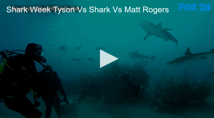 2020-08-10 Shark Week Tyson vs Shark vs Matt Rogers FOX 28 Spokane