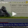 What is a Baby Gorilla Registry?
