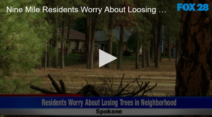 2020-10-19 Nine Mile Residents Worry About Loosing Trees in Neighborhood FOX 28 Spokane