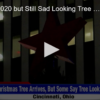 2020-11-12 Fitting for 2020 but Still Sad Looking Tree Arrives at Macy's Cincinnati Ohio FOX 28 Spokane
