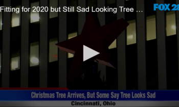 Fitting for 2020 but Still Sad Looking Tree Arrives at Macy’s Cincinnati Ohio