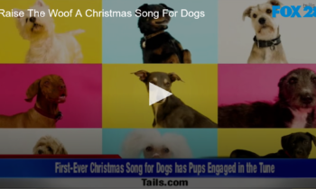 Raise The Woof. A Christmas Song For Dogs Based in Science.