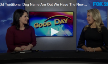 Traditional Dog Name are Out. We Have the Newest and Most Popular Male and Female Dog Names