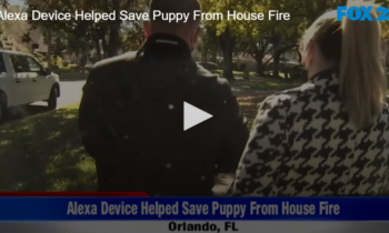 Alexa Device Helped Save Puppy From House Fire