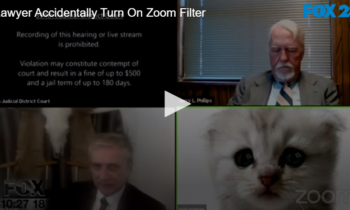 Lawyer Accidentally Turn On Zoom Filter