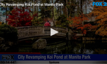 City Revamping Koi Pond at Manito Park