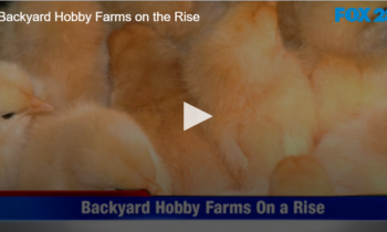 Backyard Hobby Farms on the Rise