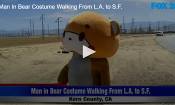 Man In Bear Costume Walking From L.A. to S.F.