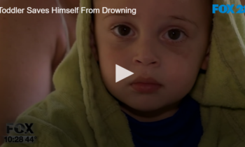 Toddler Saves Himself From Drowning