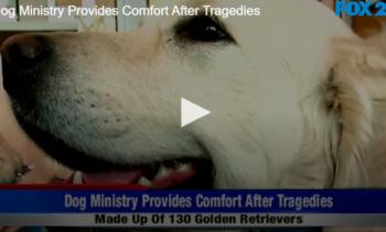 Dog Ministry Provides Comfort After Tragedies