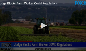 Judge Blocks Farm Worker Covid Regulations