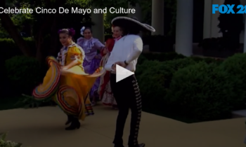 Celebrate Cinco De Mayo and Culture