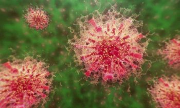 WHO warns that new virus variant poses ‘very high’ risk