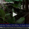 Australian Koalas Get Help FOX 28 Spokane