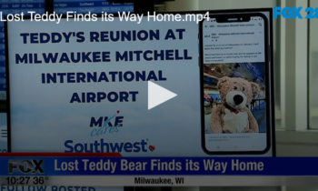 Lost Teddy Finds its Way Home