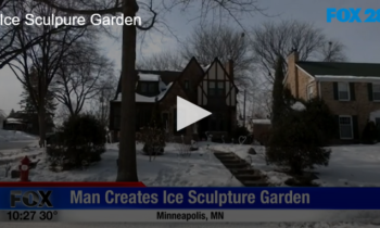 A Front Yard Turned Into a Magical Ice Garden