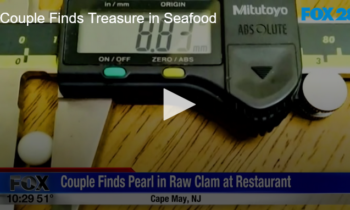 Couple Finds Treasure in Seafood